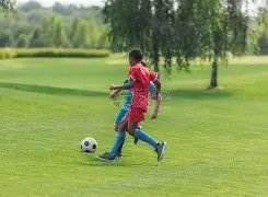 吴艳妮,林雨薇,张雨霏确认,捷报足球比分,捷报比分官网,捷报体育,捷报网页版,捷报app下载电脑版