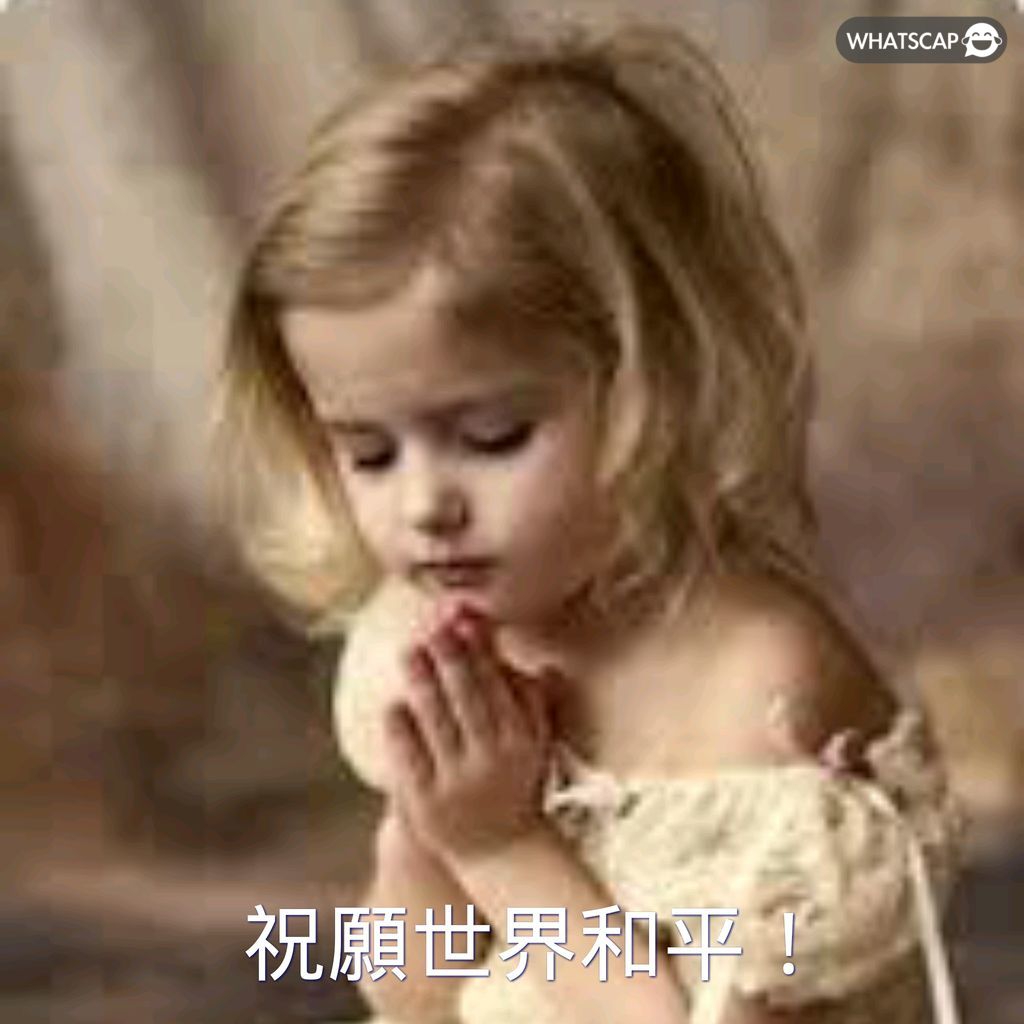 曼城半场领,先水晶宫,哈兰德头球,捷报足球比分,捷报比分官网,捷报体育,捷报网页版,捷报app下载电脑版