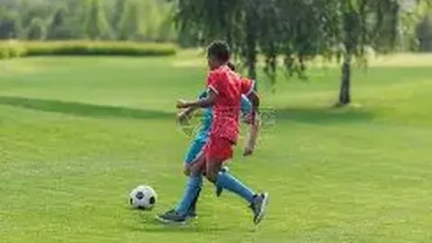 吴艳妮、林雨薇、张雨霏确认出席广西首届学青会，央视新闻客户端独家报道！