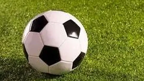 “樊振东事件引热议，上海体育局声明解读——中新社报道”